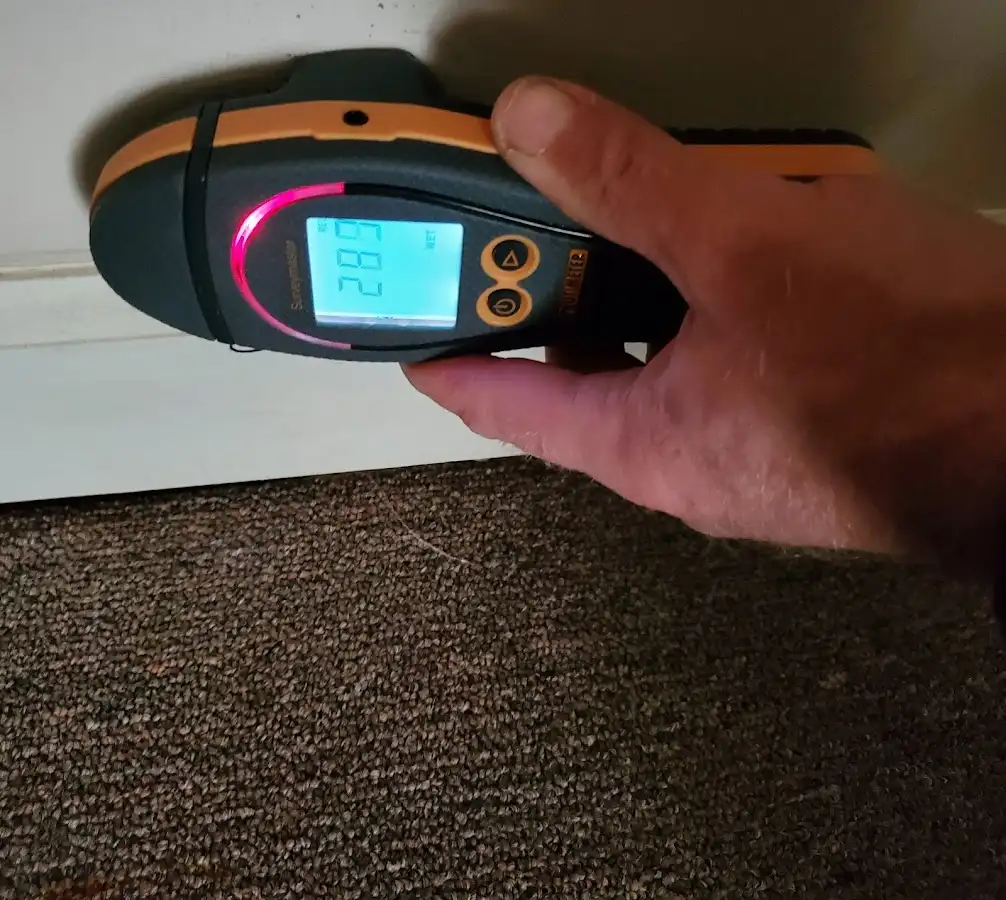Moisture detection at baseboard during Sewage Cleanup & Sanitation in Matteson